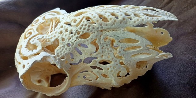 Қазақтың көне қолөнерін жаңғыртқан қарағандылық этнодизайнер сүйекке ою-өрнек салады