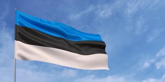 Казакстан менен Эстониянын кызматташуу келечектерине серепчилик жооп