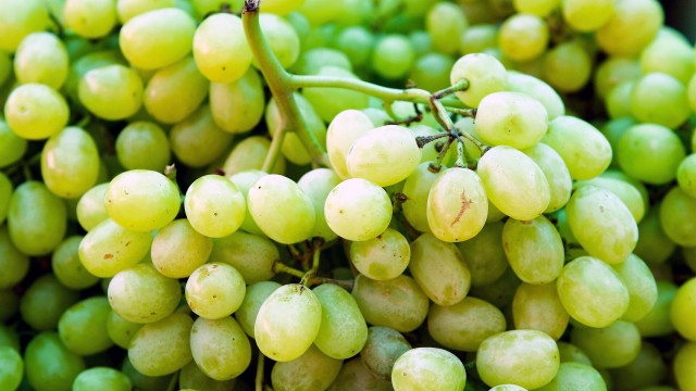 Өзбек жүзүмү эл аралык илимий маалыматтар базасына кирди