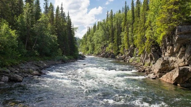 Kazakistan, sınır aşan nehirler konusunda işbirliğini güçlendiriyor
