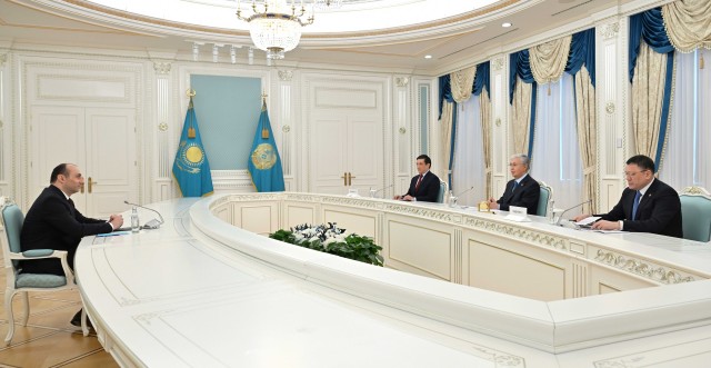 Президент Казахстана принял министра внутренних дел Грузии