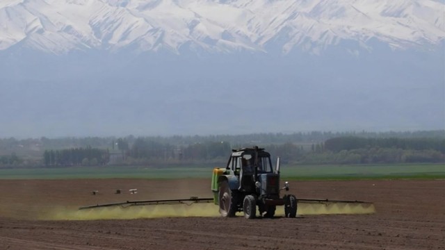 Kazakistan’da ekim alanları 24 milyon hektara çıkarılacak