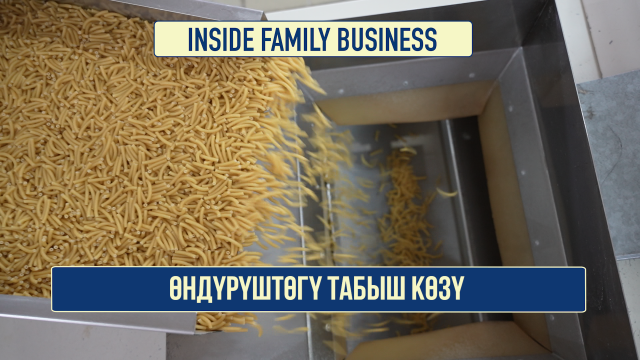 Өндүрүштөгү табыш көзү