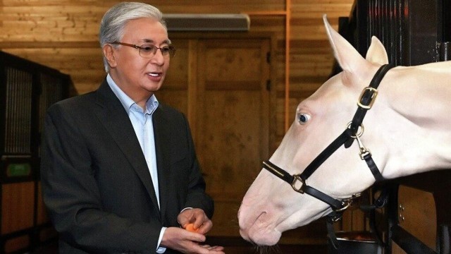Devlet Başkanı, Cumhurbaşkanlığı’na bağlı ahırı ziyaret etti