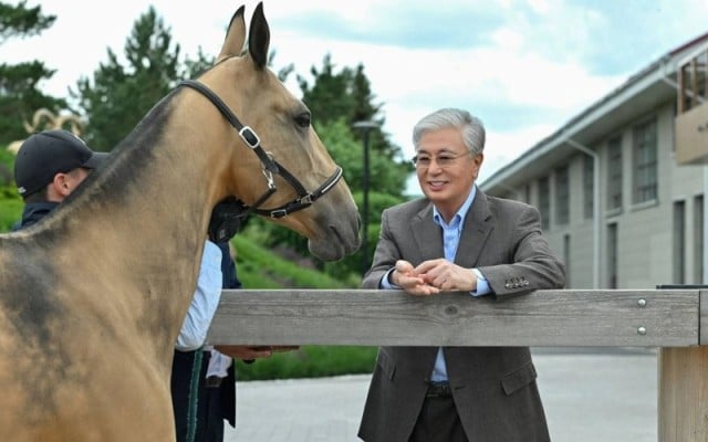 Kazakh President names Akhal-Teke foals