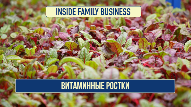 Витаминные ростки
