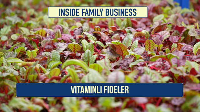 Vitaminli fideler